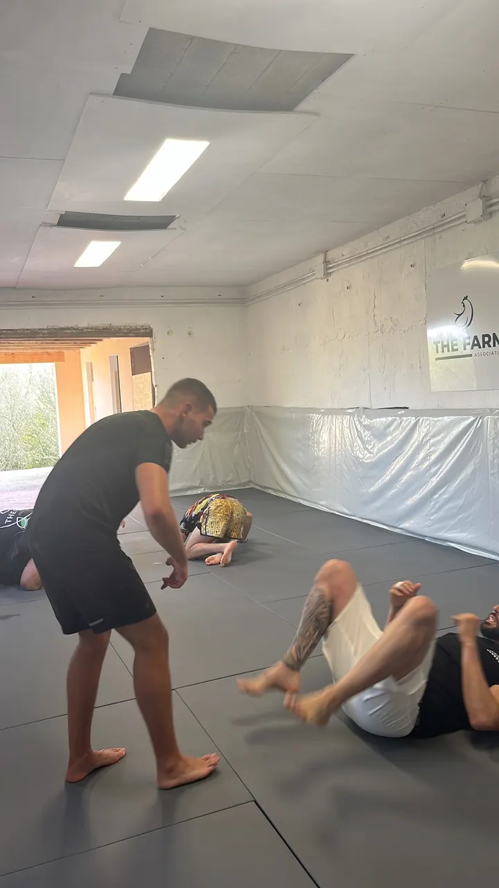 BJJ Mallorca The Farm Association — artes marciales-studio en Manacor — 4