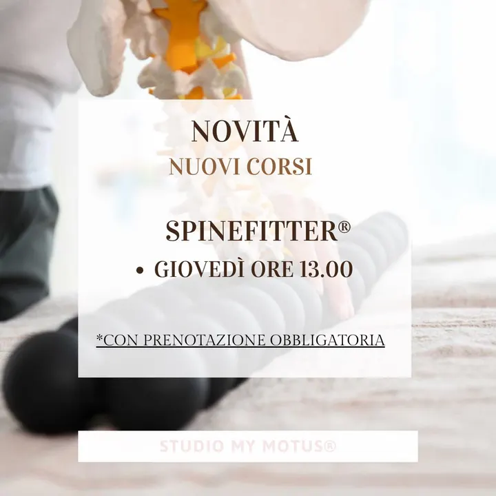 studiomymotus — pilates-studio a Trieste — 5