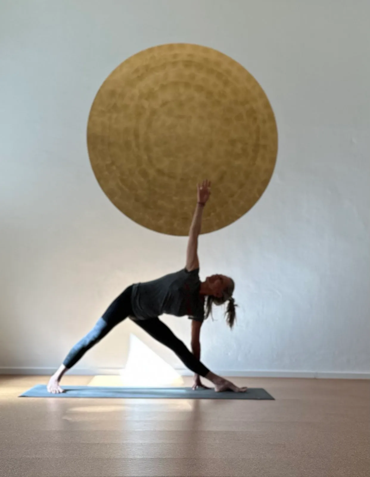YOGASHALA - Iyengar Yoga München — yoga-studio i München — 3