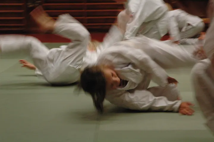 Vanadis Aikidoklubb — martial arts-studio in Stockholm — 3