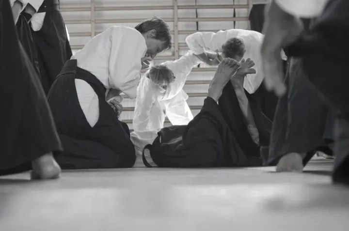 Vanadis Aikidoklubb — martial arts-studio i Vasastan, Stockholm