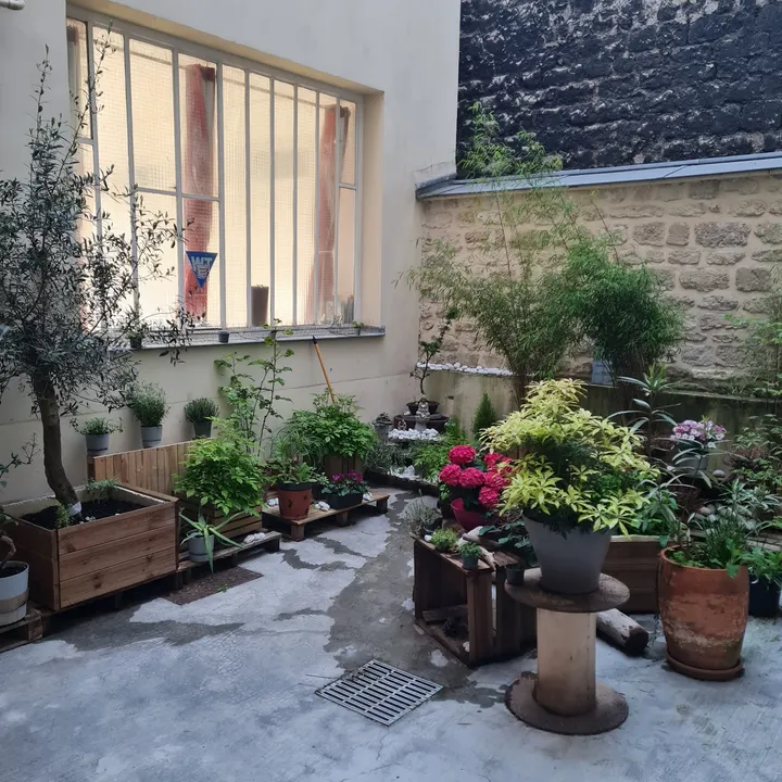 Wing Tsun Kung-fu Paris — arts martiaux-studio à Paris 14e Arrondissement, Paris — 3
