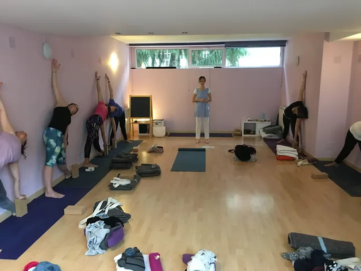 Shiva Shakti Centro — yoga-studio en Pamplona — 4