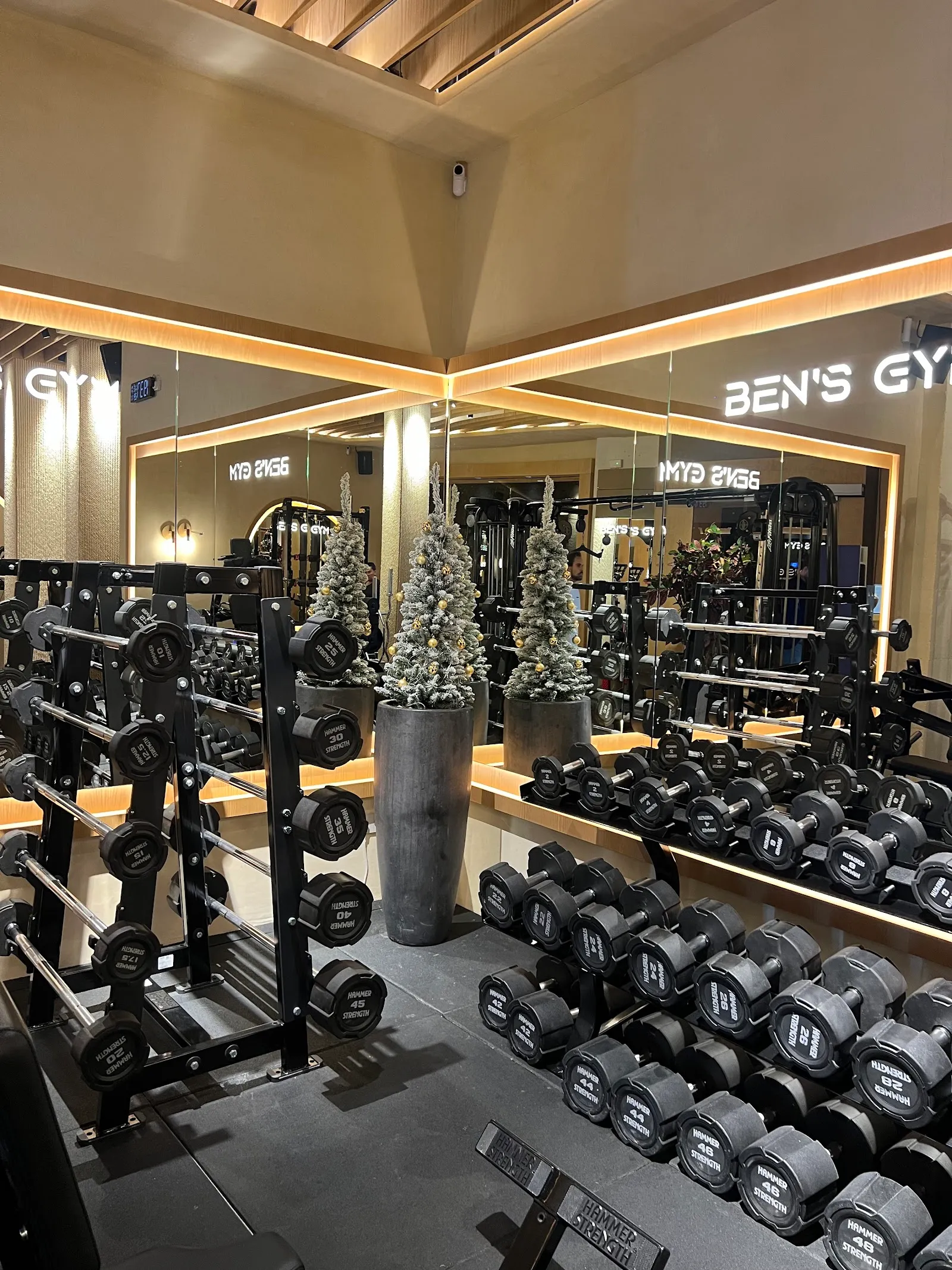 BEN'S GYM IBIZA — estudio de fitness-studio en Eivissa — 5