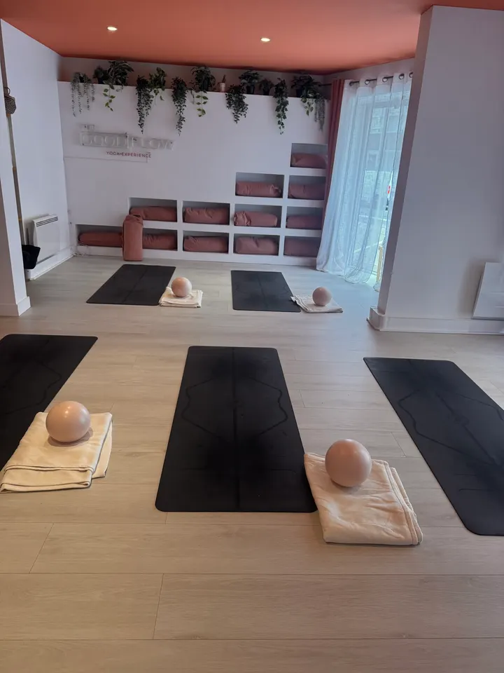 The Good Flow Lyon — Yoga aux Brotteaux, Lyon