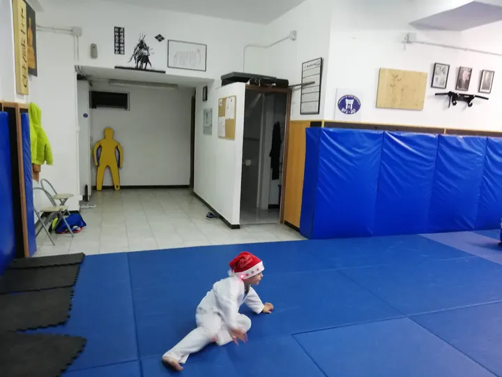 Club de Artes Marciales Ryu Do — artes marciales-studio en Las Palmas de Gran Canaria — 4