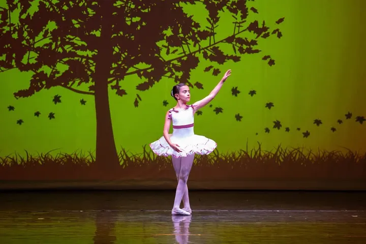 Giglio Dance Academy — danza-studio a Palermo — 4