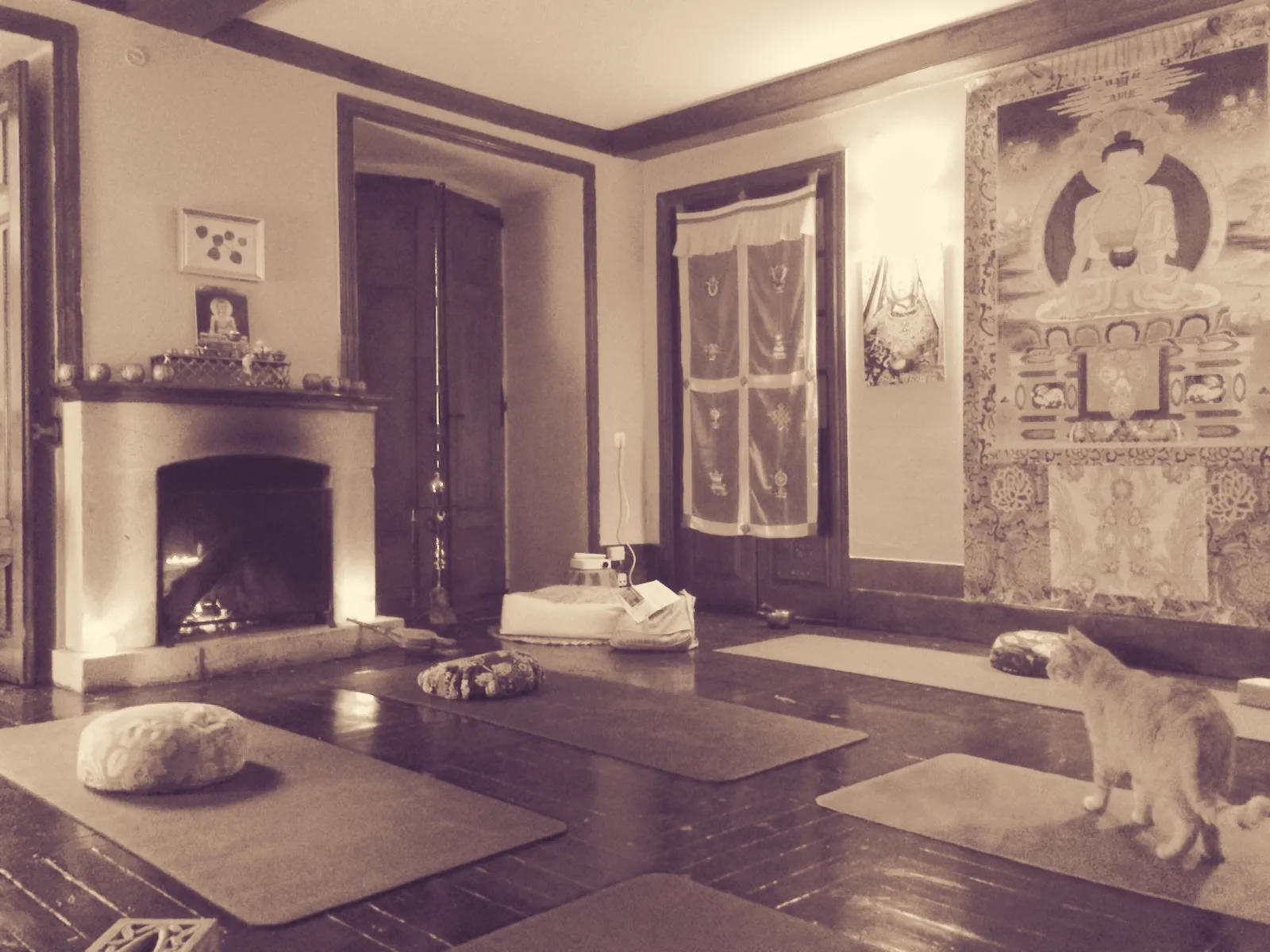 Loto Pontevedra — yoga-studio en Casco Antigo, Pontevedra — 3
