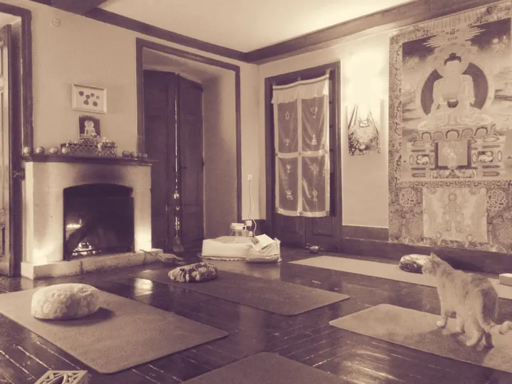 Loto Pontevedra — yoga-studio en Casco Antigo, Pontevedra — 3