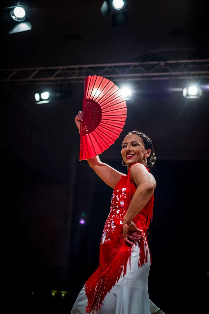 Tina Sola Flamenco Tanz und Unterricht — Tanz in Kopperpahl, Kronshagen