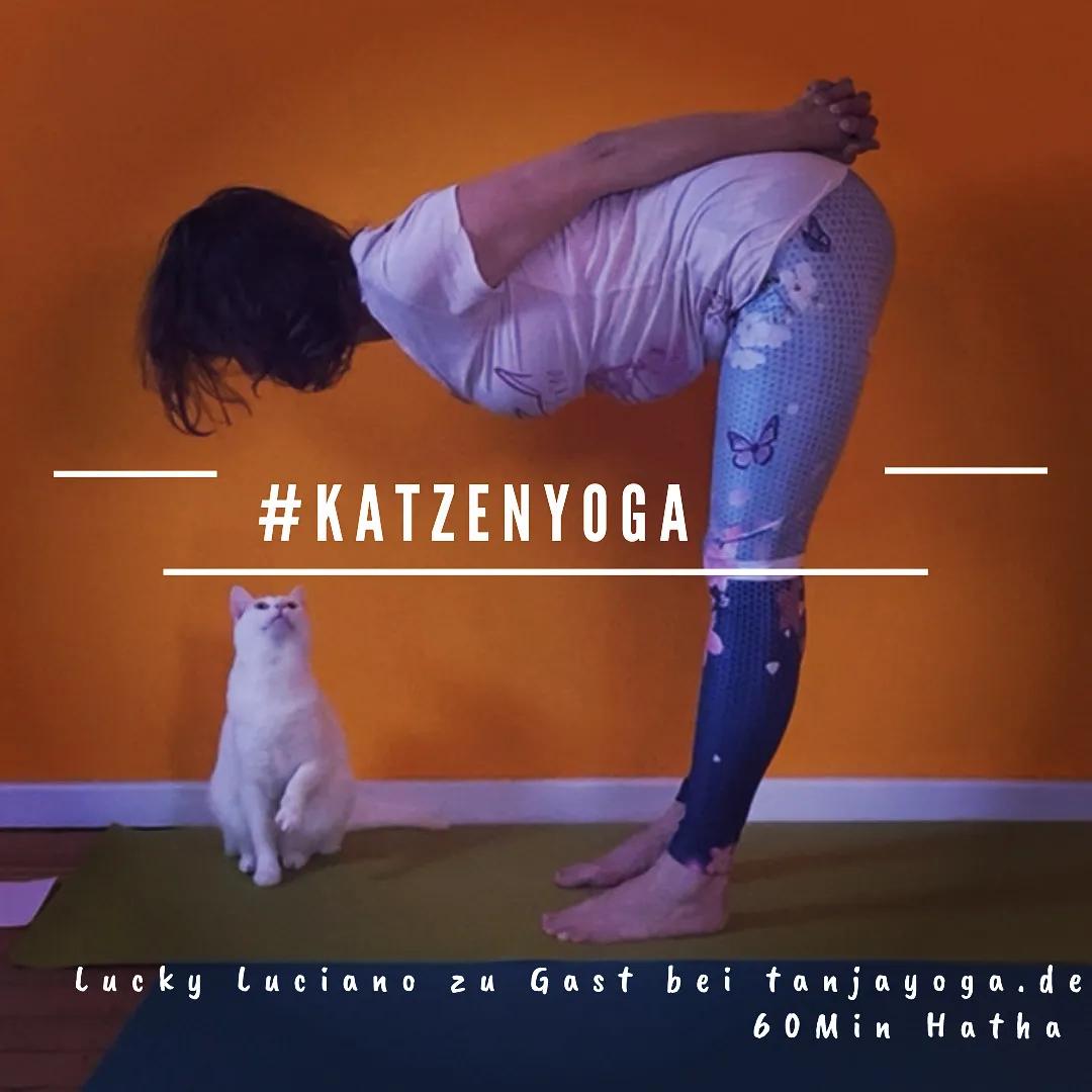 tanjayoga.de — yoga-studio in Berlin — 5