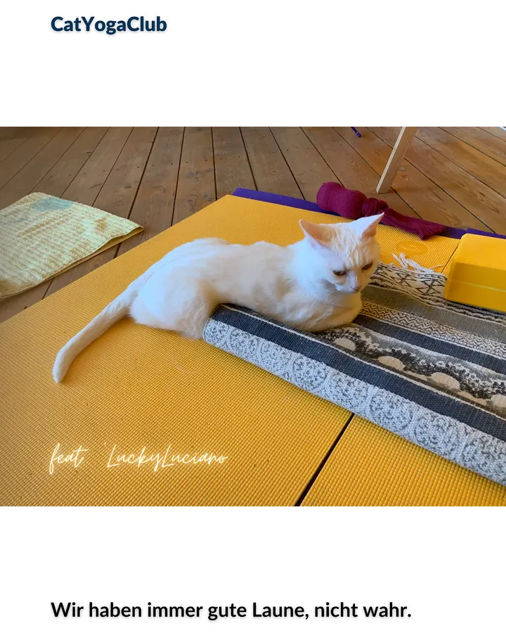 tanjayoga.de — Yoga in Schöneberg, Berlin