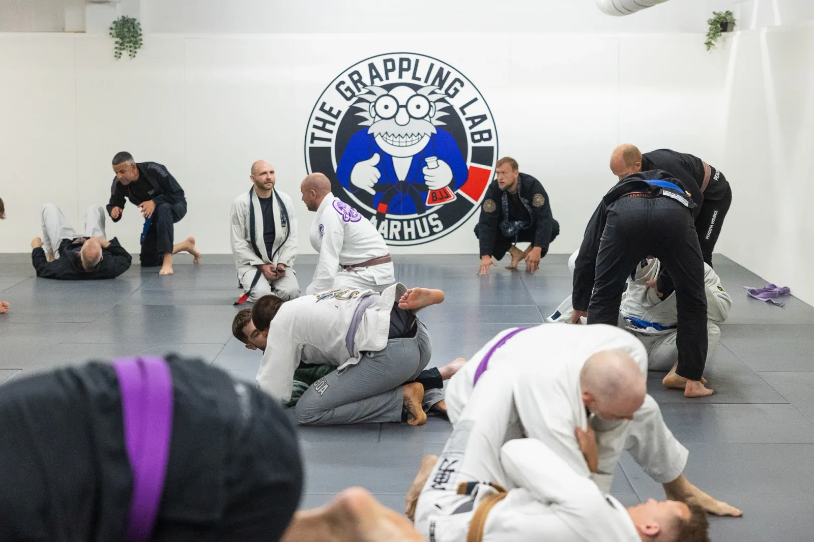 The Grappling Lab — kampsport-studio i Aarhus — bild 4