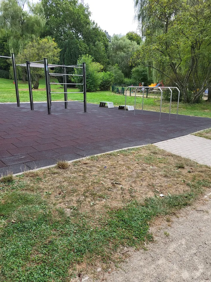 Calisthenics Park — calisthenics-studio in Trier — 4