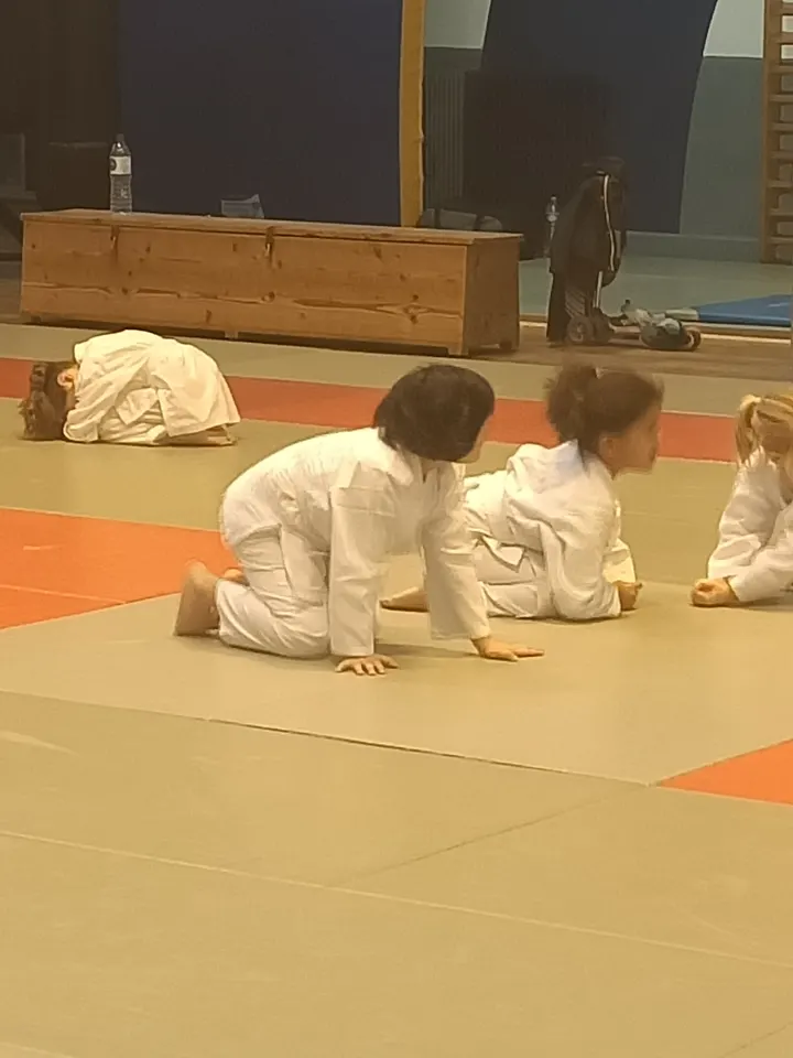 Dojo Nantais - Salle Coidelle — arts martiaux-studio à Bretagne, Nantes — 3