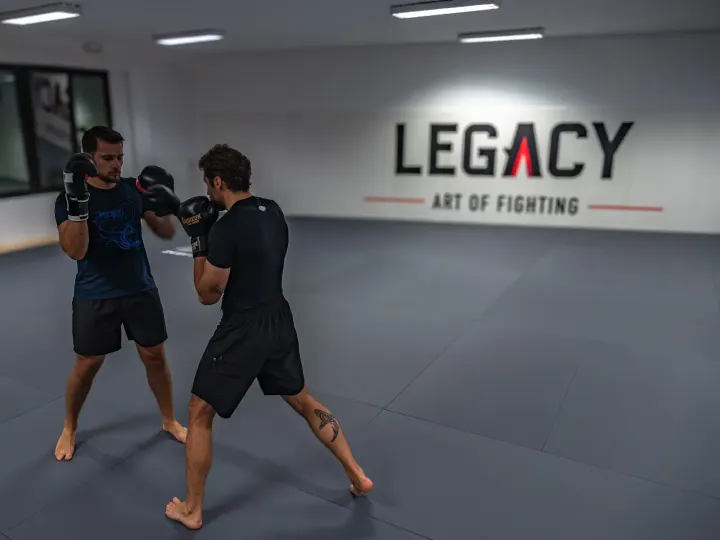 Legacy Art of Fighting — arti marziali-studio a Municipio 2, Milano — 3