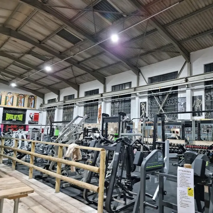 Primitive Gym — Brazilian Jiu-Jitsu in Poole, Poole