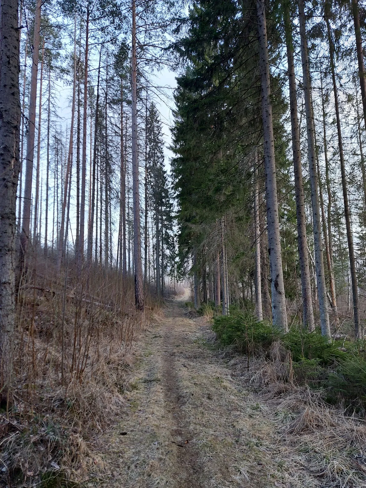 Skräddartorpet (SK TRIM Virsbo) - Friskvårdscentrum — träningsstudio-studio i Virsbo — bild 4