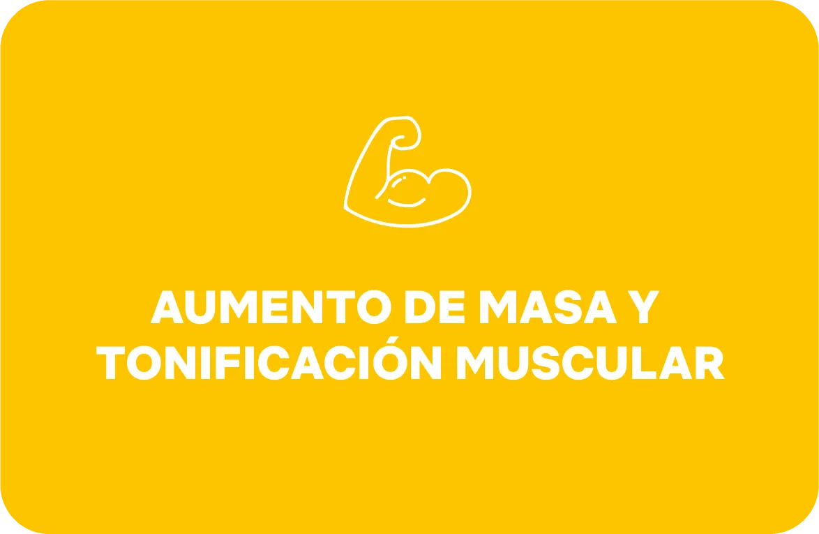 Sala Activa | Centro de Entrenamiento en Jaén — entrenamiento personal-studio en Jaén — 3