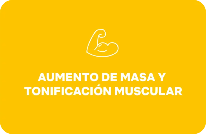 Sala Activa — entrenamiento personal-studio en Jaén — 3
