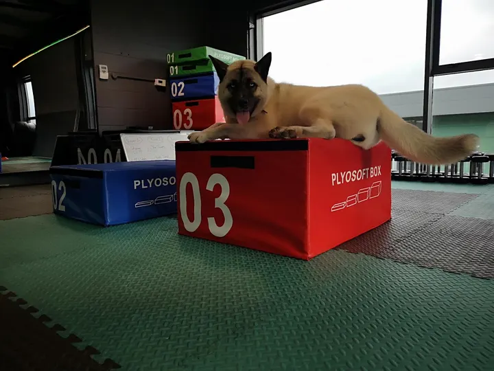Tanks & Skinny's — fitness studio in Cookstown — 3
