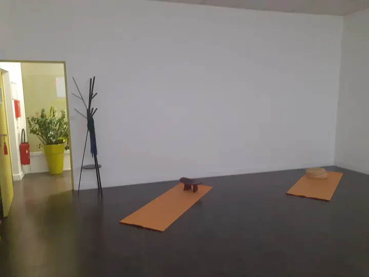 Catherine Vayssiere Yoga Ayurvéda — yoga-studio à Europe, Tours — 3