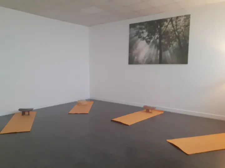 Catherine Vayssiere Yoga Ayurvéda — yoga-studio à Tours — 3