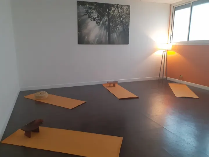 Catherine Vayssiere Yoga Ayurvéda — Yoga à Europe, Tours
