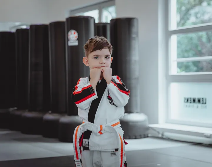 LEMMENS Martial Arts Winterhude — Kampfsport in Winterhude, Hamburg