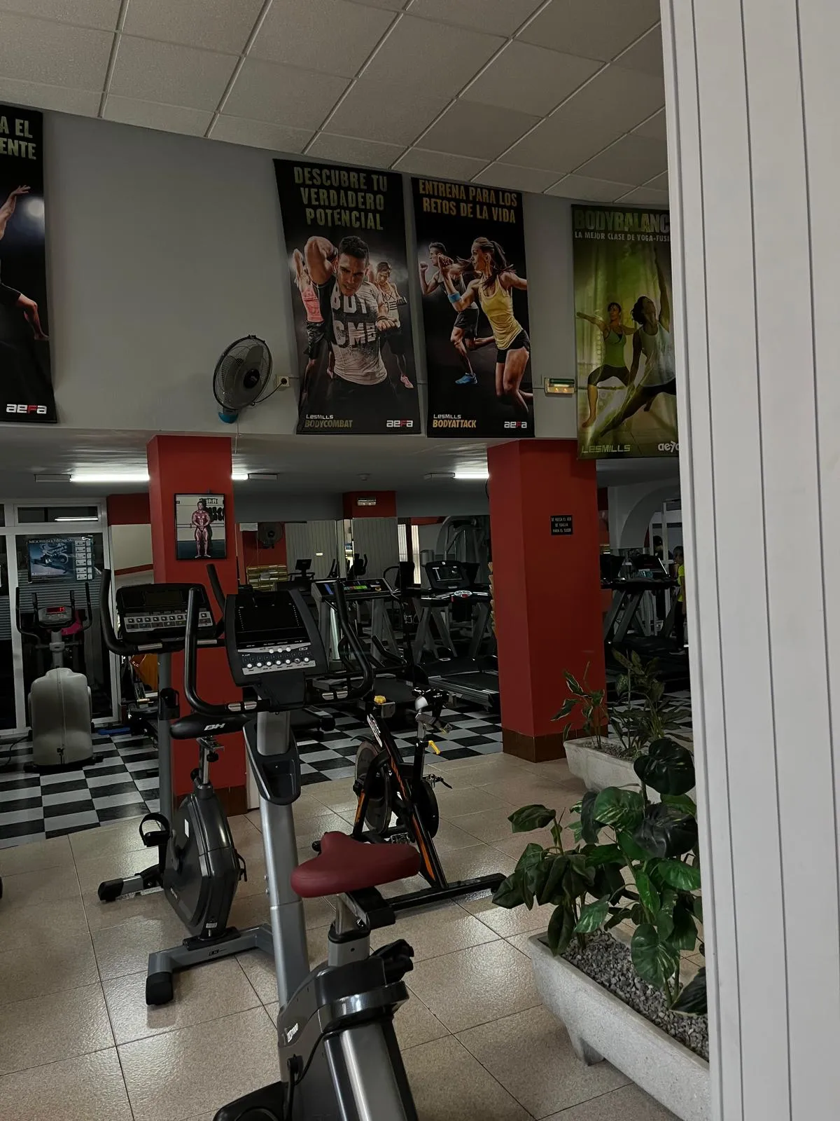 Gimnasio Body Gym — estudio de fitness-studio en Portugalete — 4