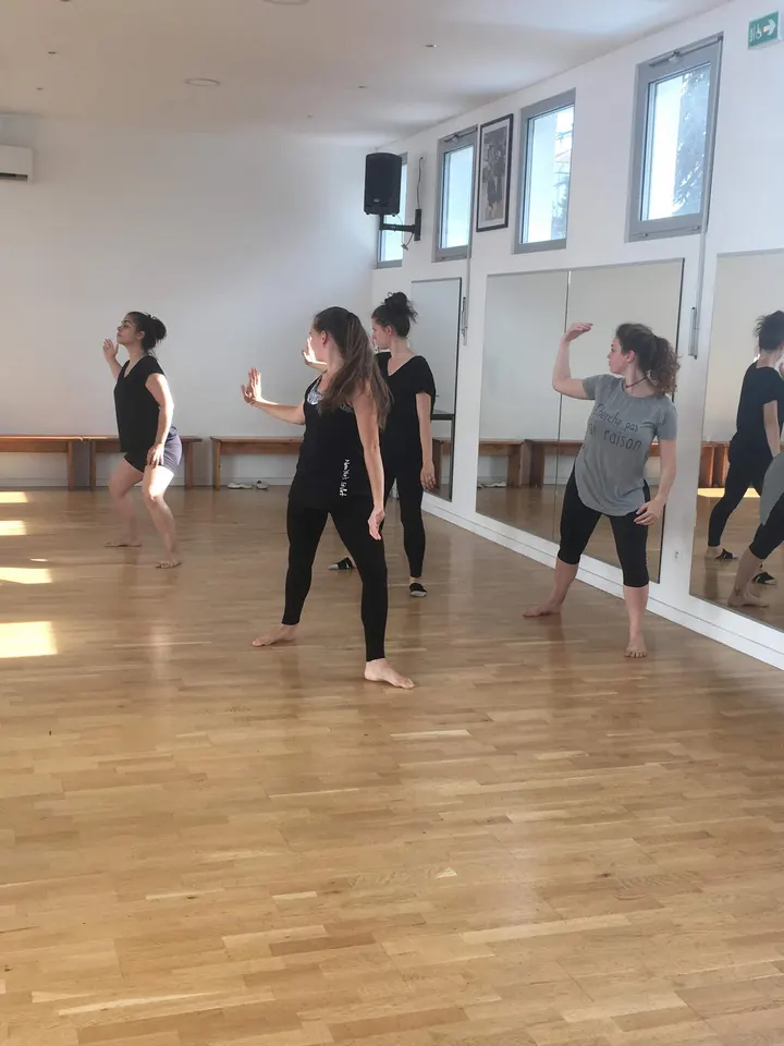 Académie de danses Adriana Teoli — danse-studio à Lyon — 3