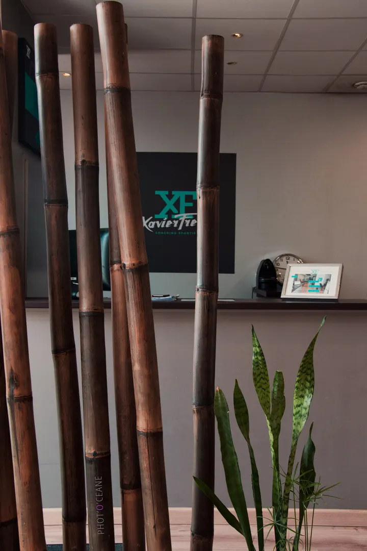 XF Coaching Sportif — coaching personnel-studio à Lyon — 4