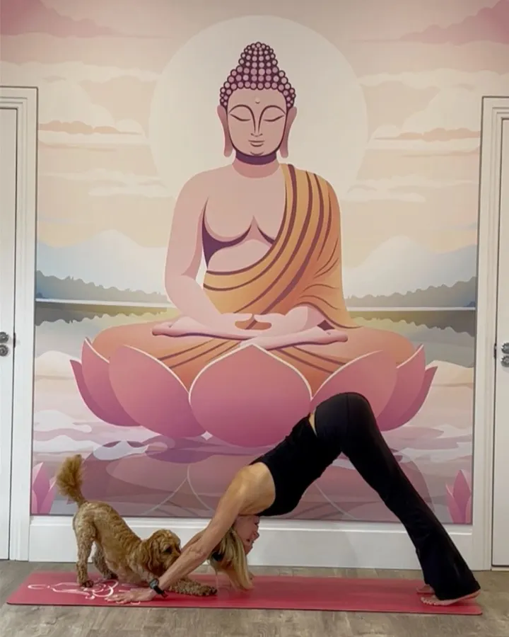 Simply Yoga — yoga-studio in Goole — 4