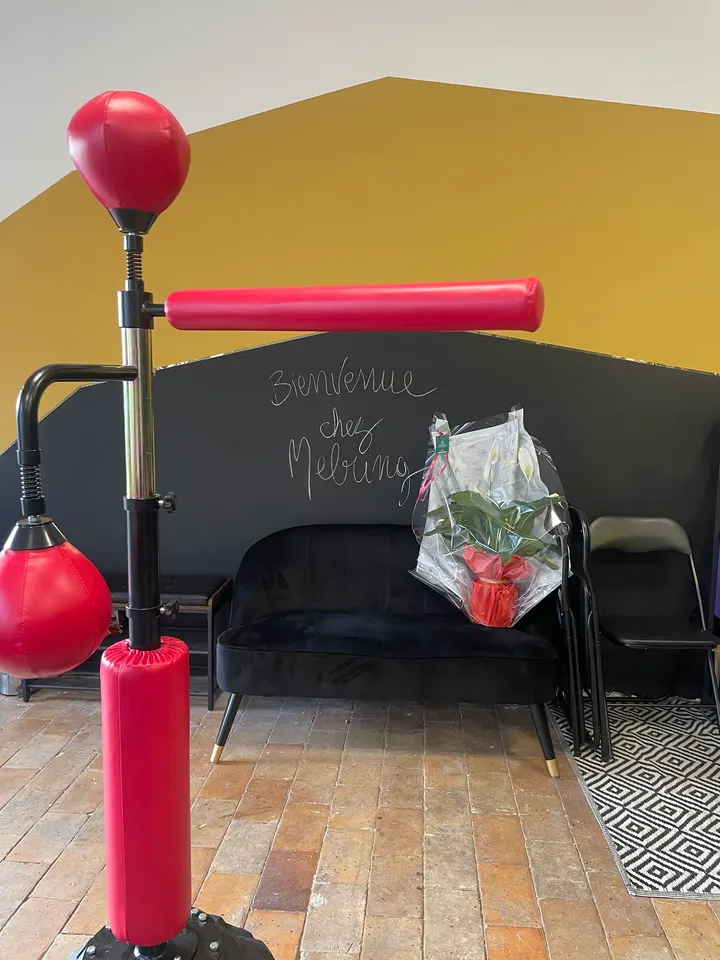 Melring — Boxe à Lille