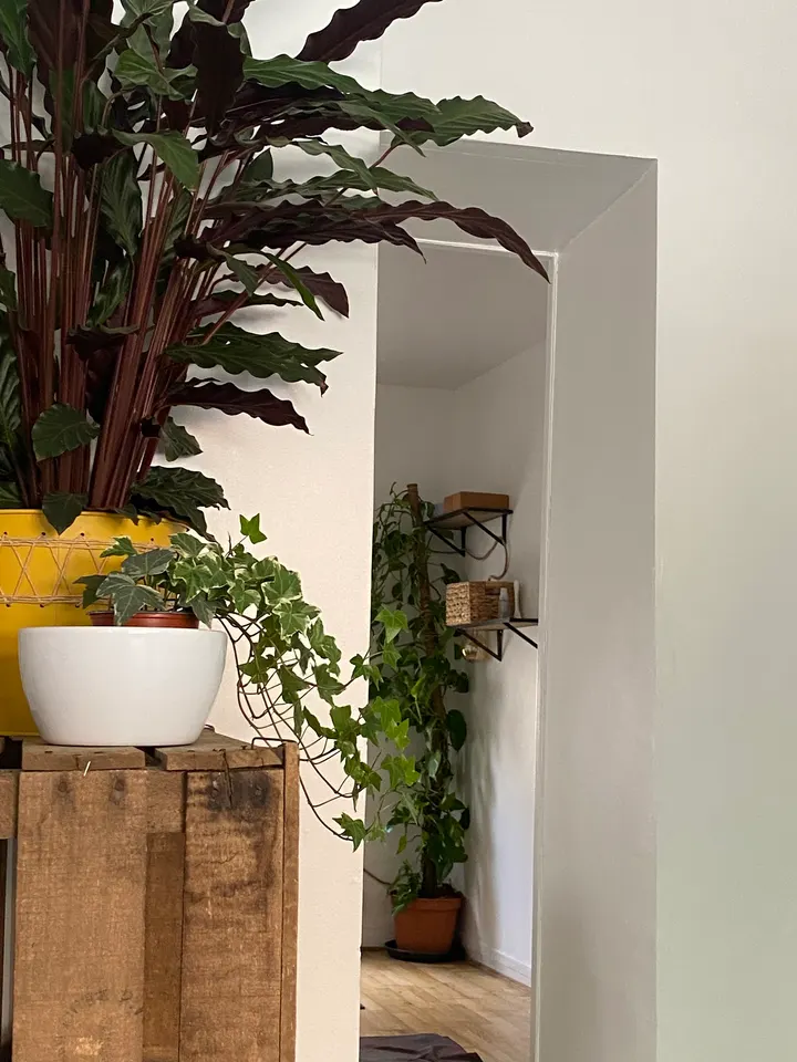 Taraka Yoga Studio — yoga-studio à Maisons-Laffitte, Paris — 2