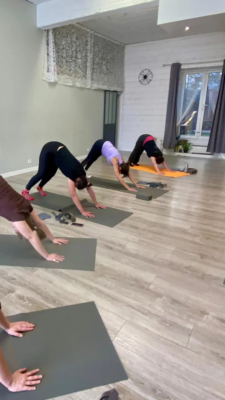 Ra.Yo.Na Perpignan — yoga-studio à Perpignan — 4