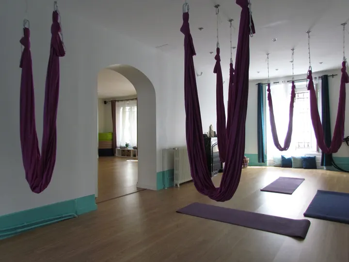 Pinapole Pole et — Pole Fitness à Secteur 2, Grenoble