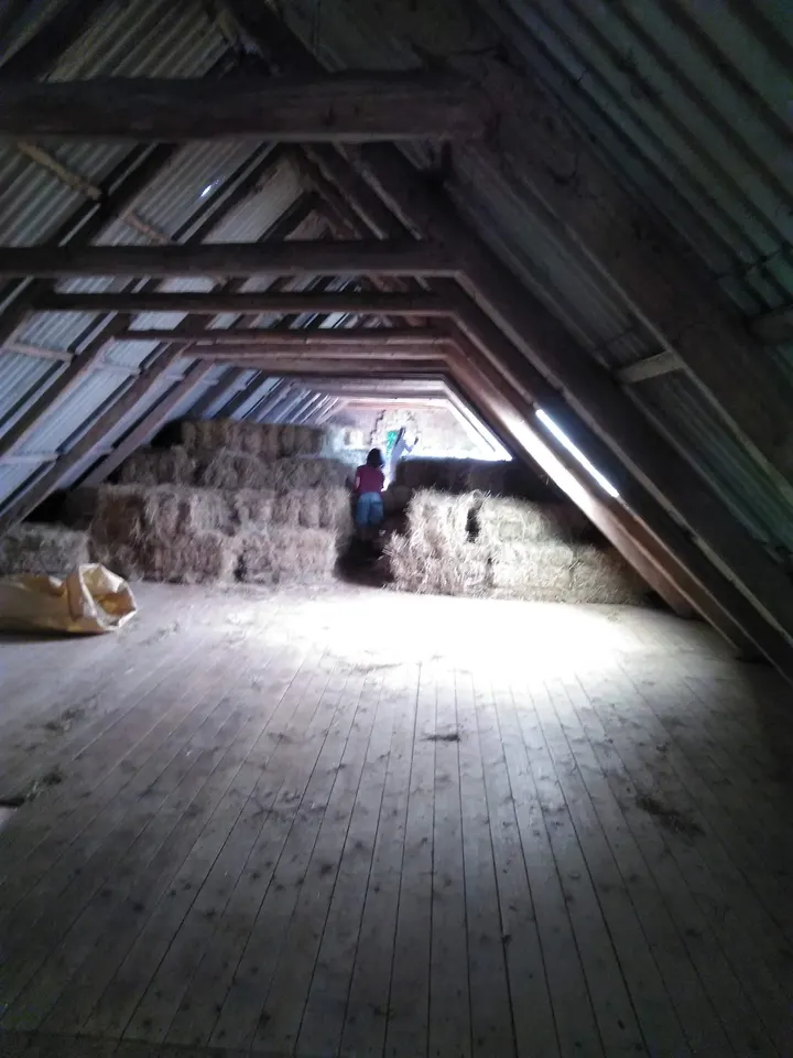 bittensyoga — yoga-studio i Tømmerup Overdrev, Hundested — 3