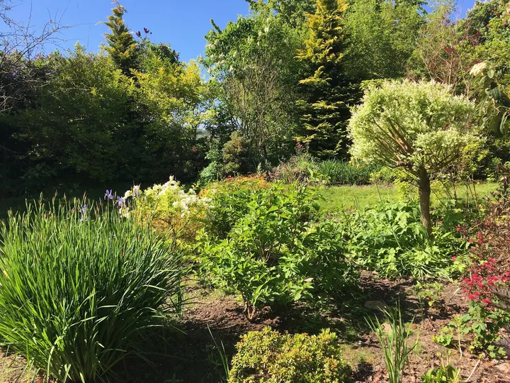 bittensyoga — yoga-studio i Hundested — 5