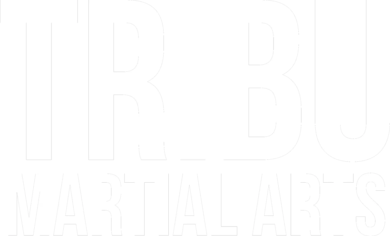 Tribu Martial Arts — kampsport-studio i Sant Joan d'Alacant — bild 2