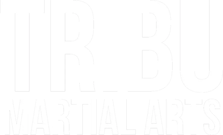 Tribu Martial Arts — artes marciales-studio en Sant Joan d'Alacant — 2