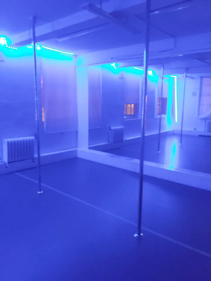 Diva Flow Pole Studio — pole fitness-studio in Streatham, London — 2