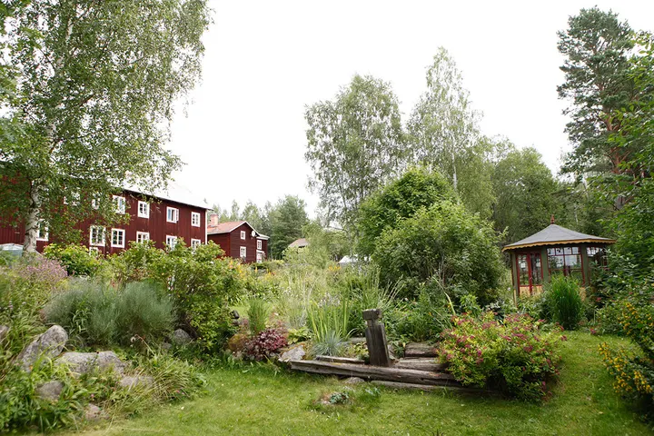 SATYANANDA YOGA SVERIGE — yoga-studio i Öst på stan, Umeå