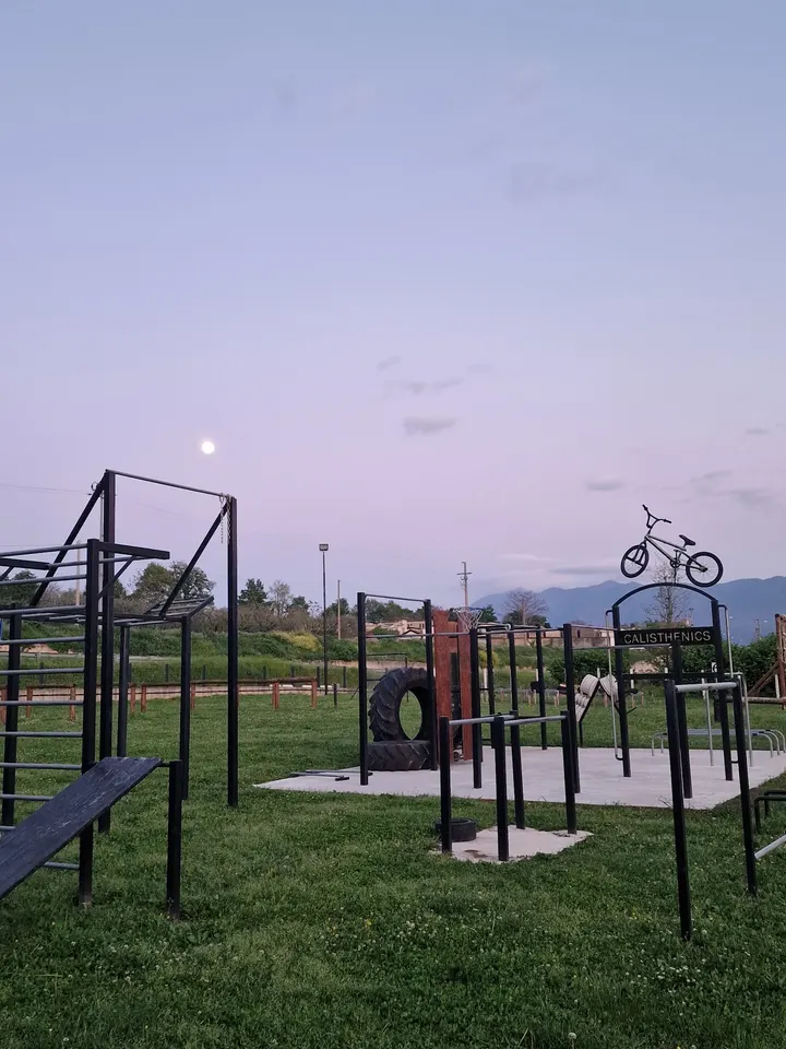 SPARTAN TRAINING & CALISTHENICS — calisthenics-studio a Chieale, Provincia di Benevento — 2