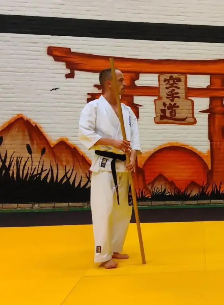 Shin Bu Ken — Vechtsport in Koedijkslanden, Meppel