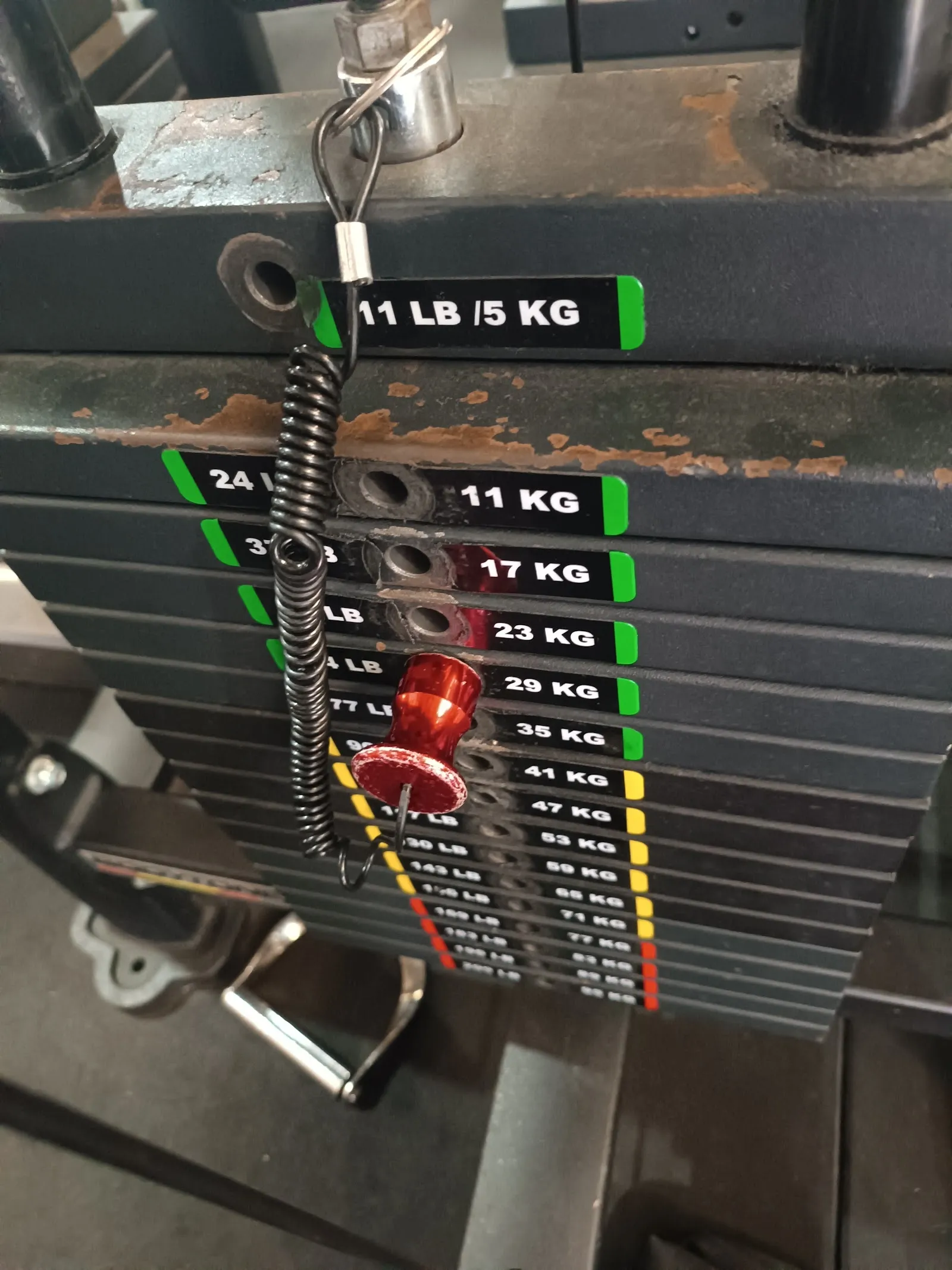 Gym Lions — estudio de fitness-studio en Cáceres — 3