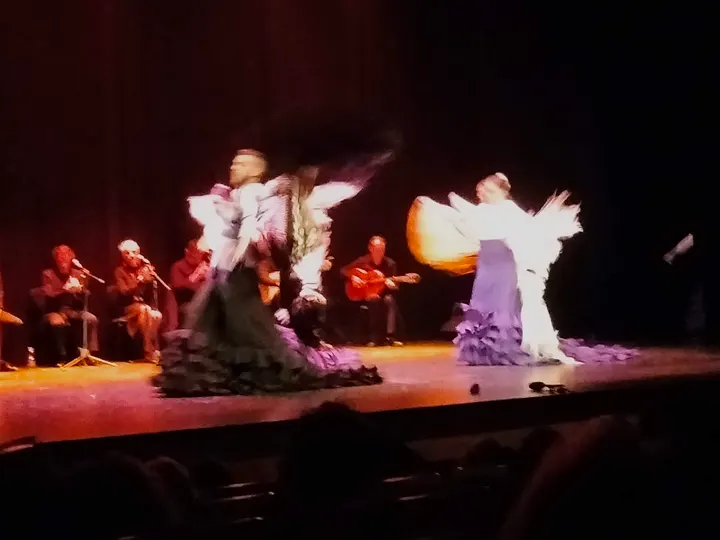 Conservatorio Profesional de Danza Maribel Gallardo — baile-studio en Barrio Astilleros, Cádiz — 2