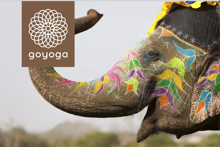goyoga — yoga-studio in Köln — 4