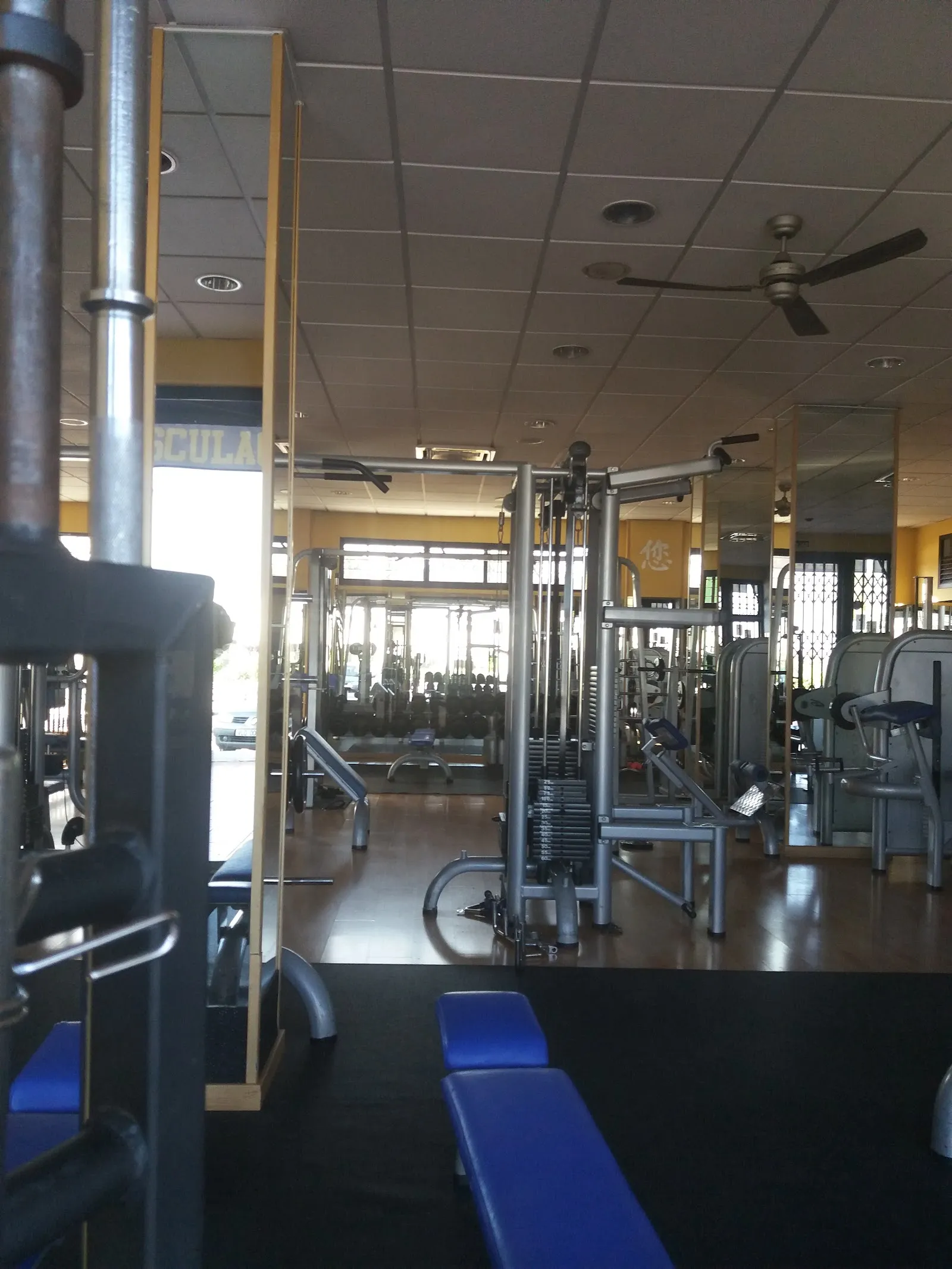 Gimnasio Buddha GYM — estudio de fitness-studio en Estepona — 3