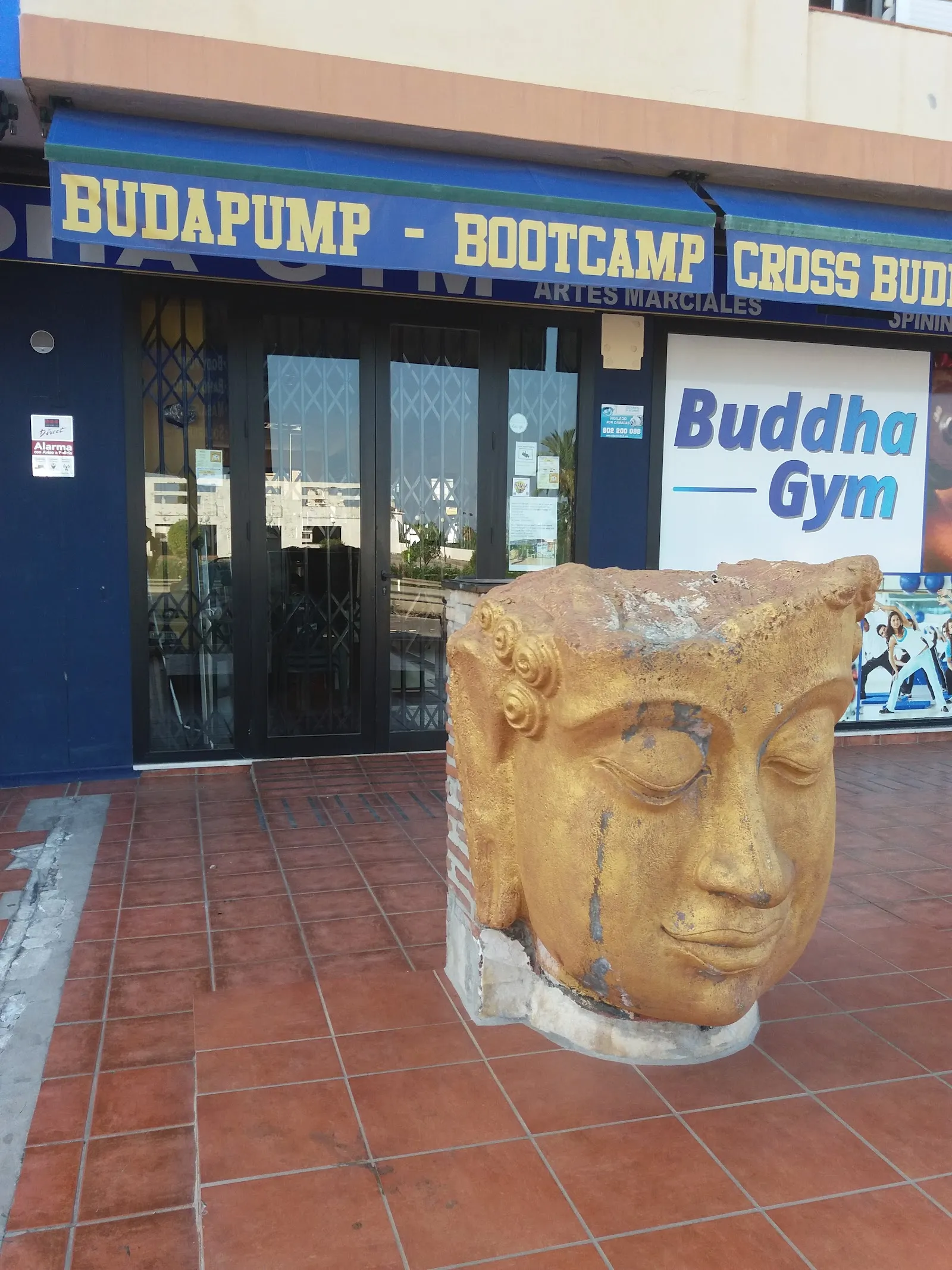 Gimnasio Buddha GYM — estudio de fitness-studio en Estepona — 4